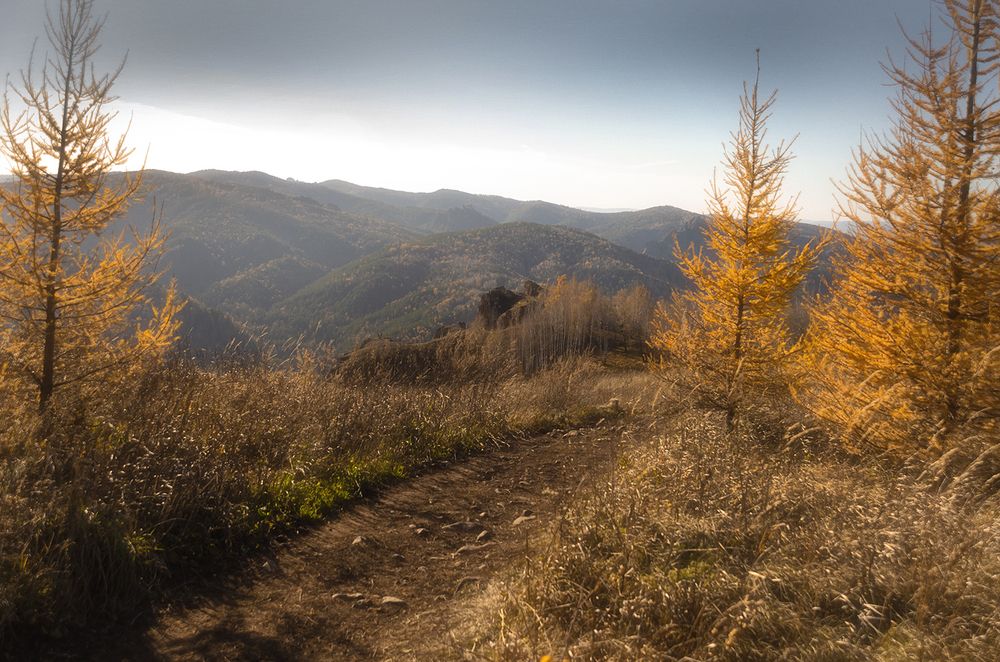 Photograph by Наталья Дроздова