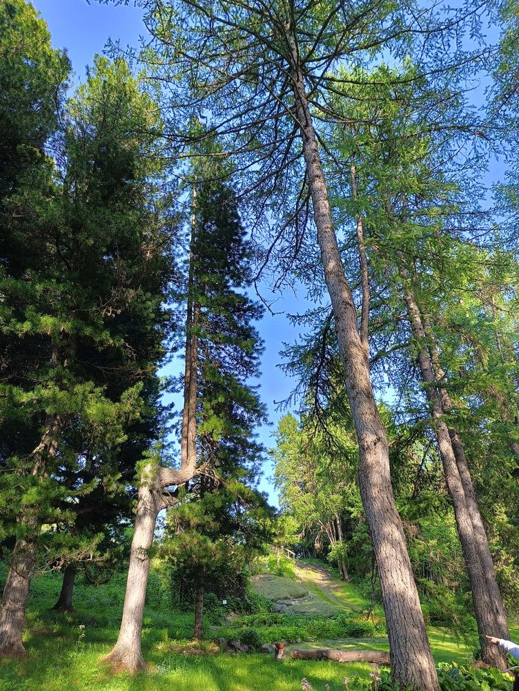 Фотография автора Елена Александрова