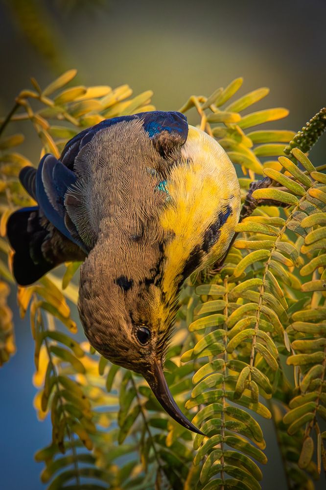 Photograph by Alexei Kriptozoy