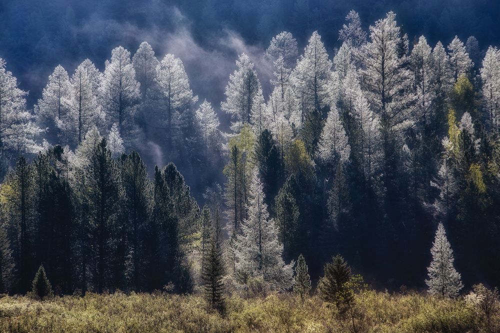 Photograph by Михаил