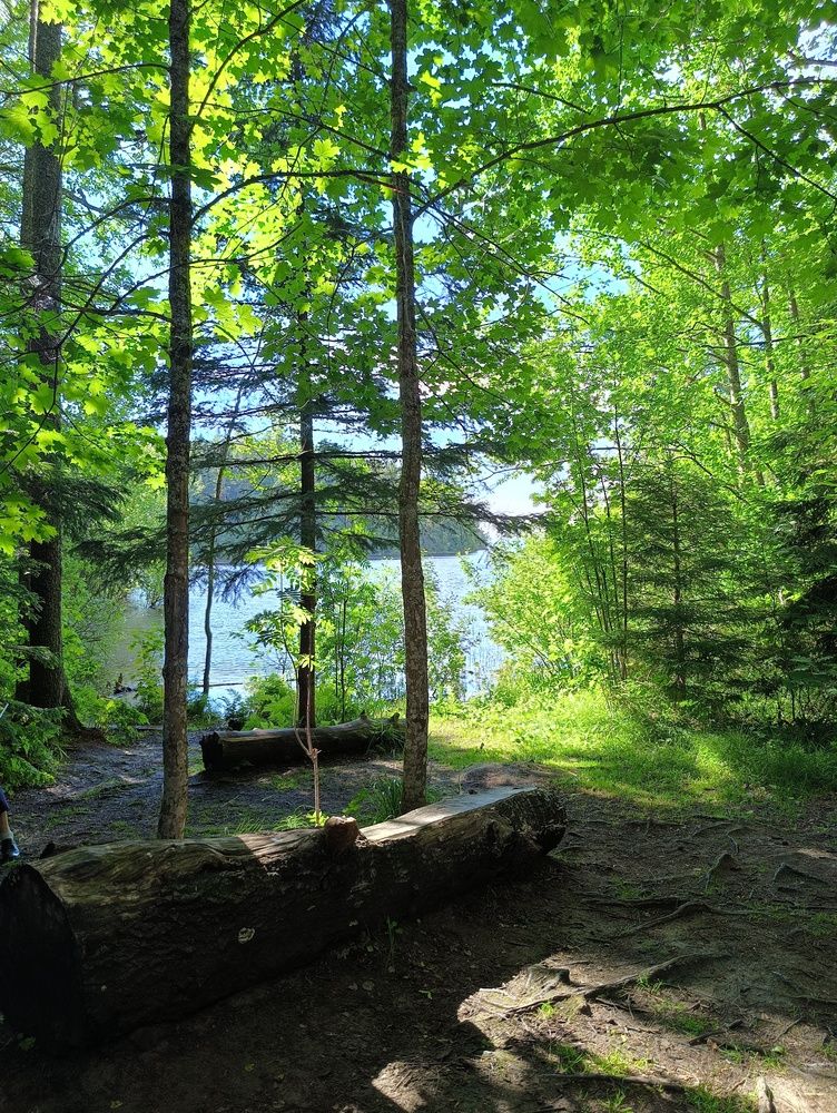 Фотография автора Елена Александрова