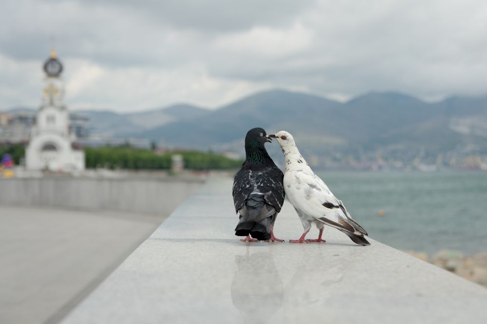 Фотография автора Татьяна Злобина