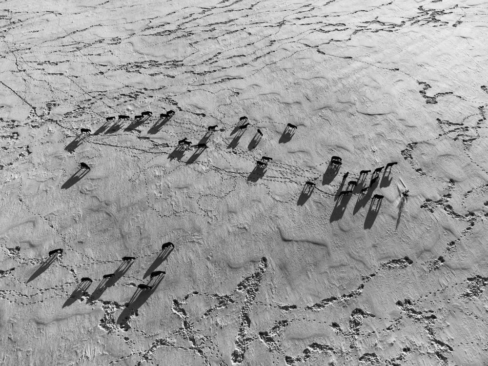 Photograph by Sergey Vatta