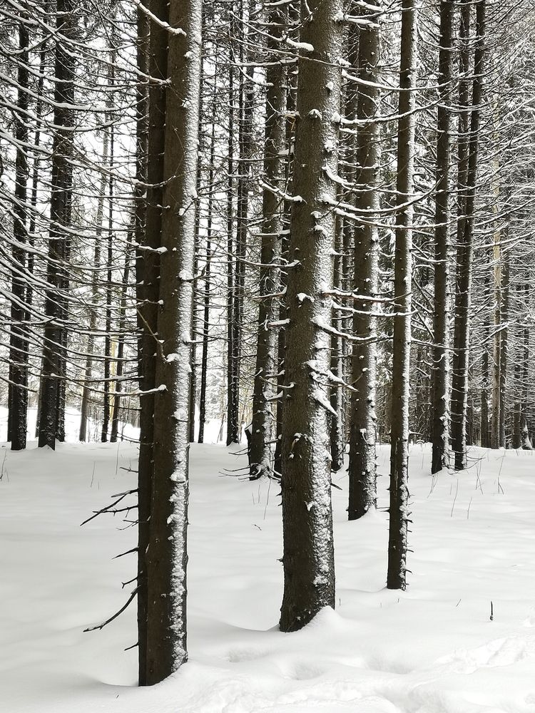 Photograph by Анастасия