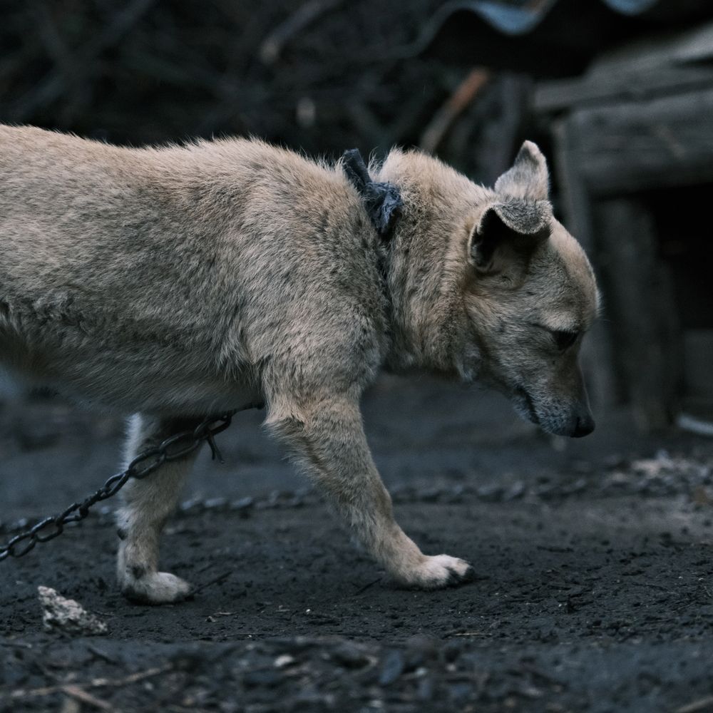 Photograph by Repida Mihail