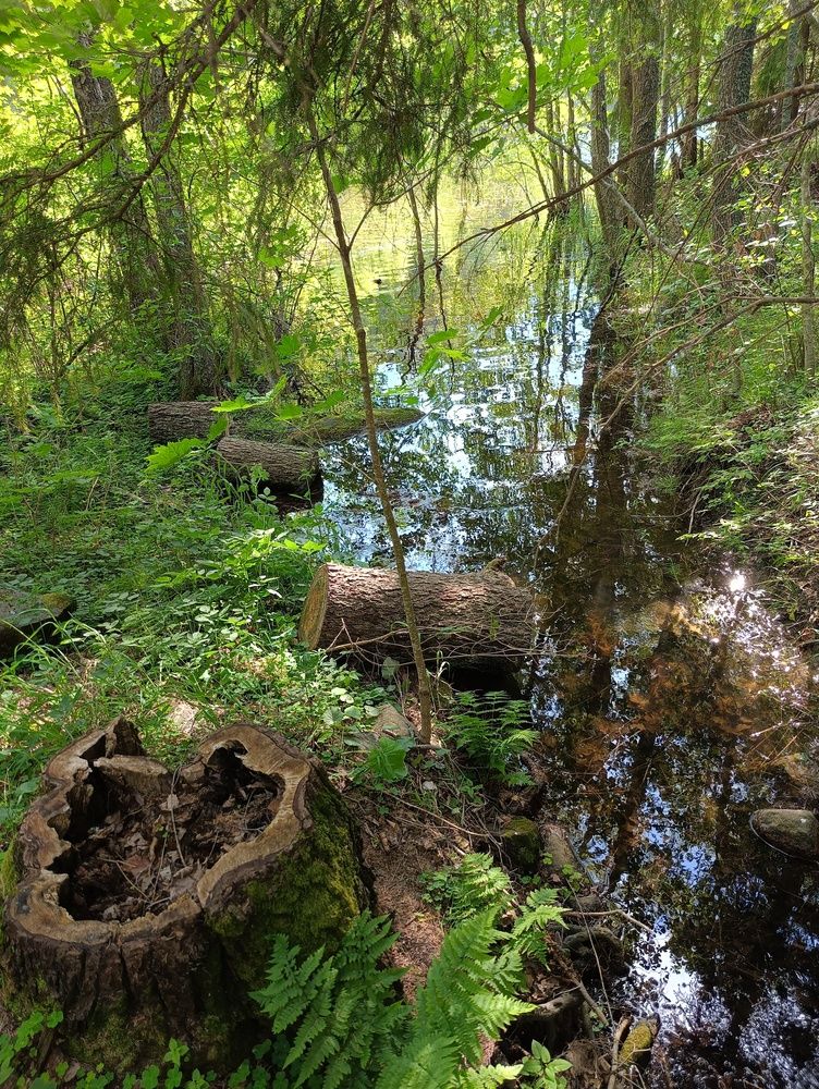 Фотография автора Елена Александрова
