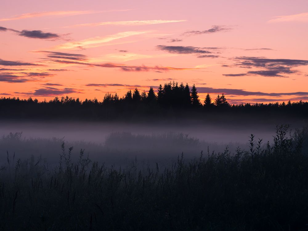 Фотография автора Pussa Vitaly