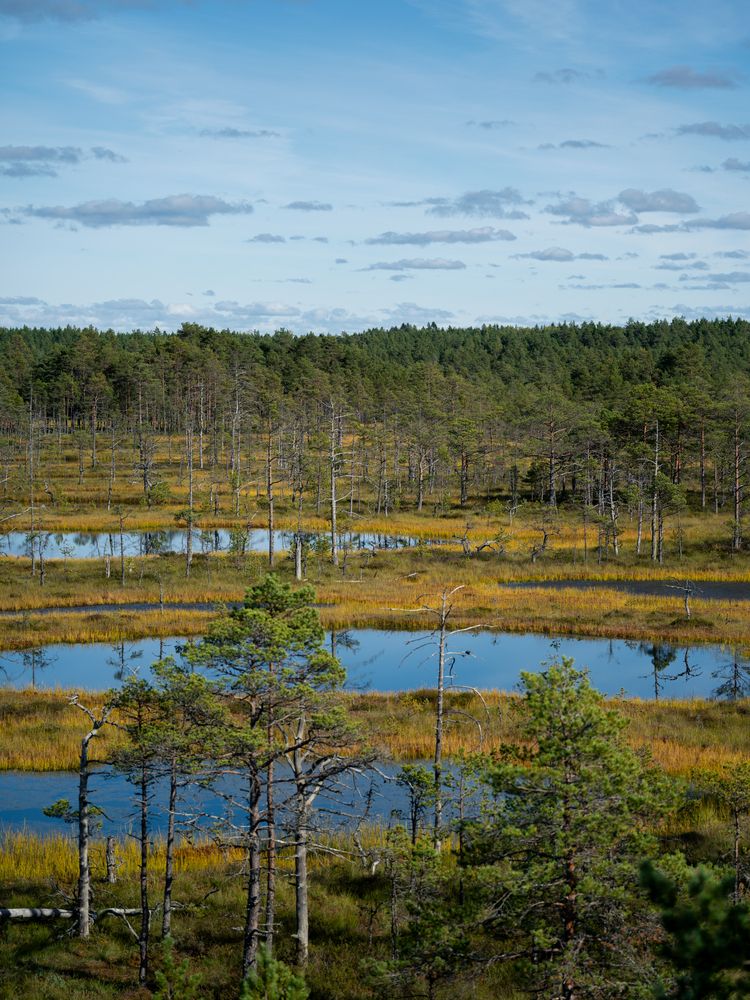 Фотография автора Pussa Vitaly