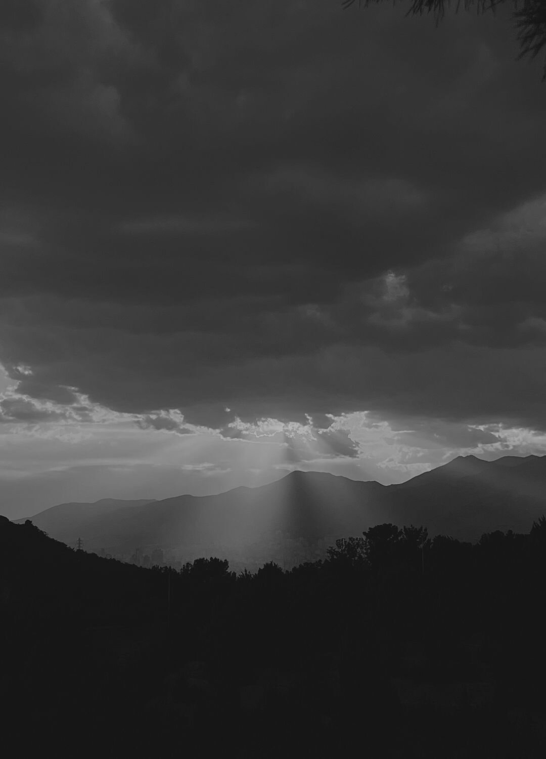 Photo #11809070