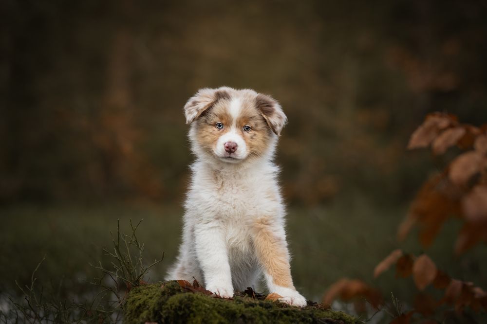 Photograph by Daniela Schmid