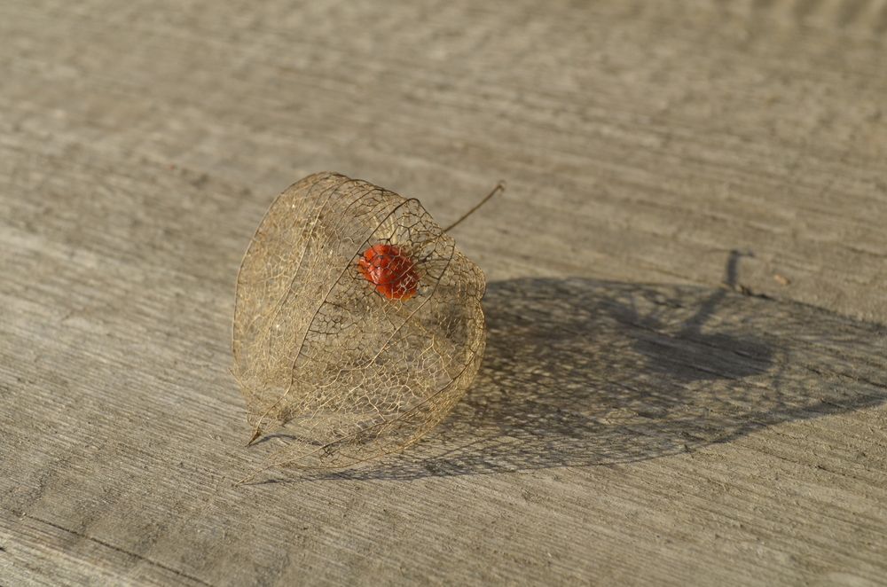 Photograph by Сергей Печатнов