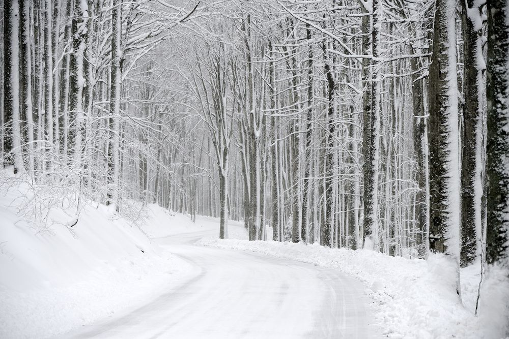 Photograph by Paolo Mola