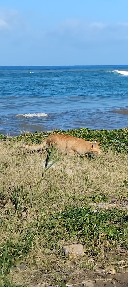 Photograph by WANDA OZIERANSKA