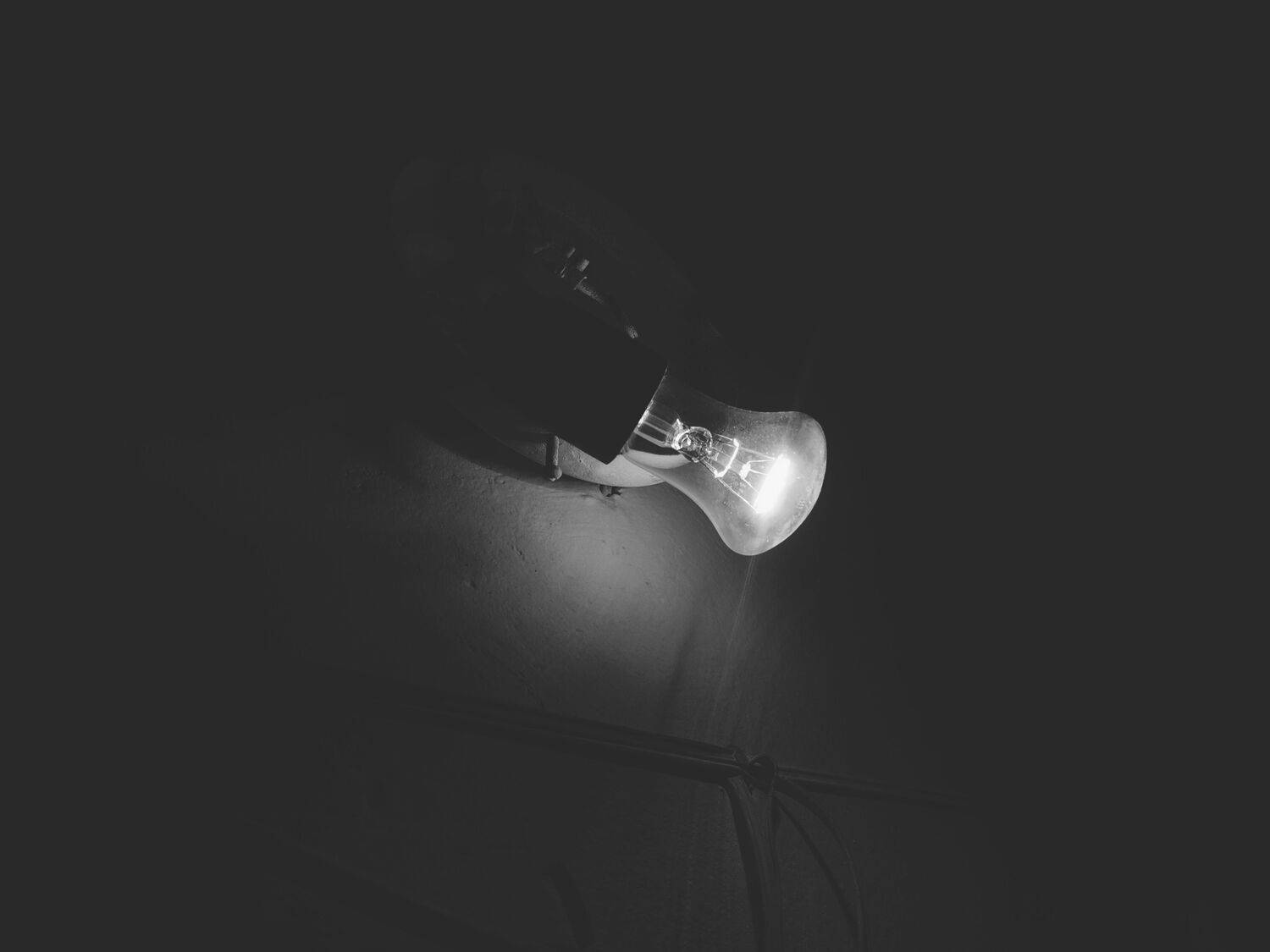 Photo #11809112