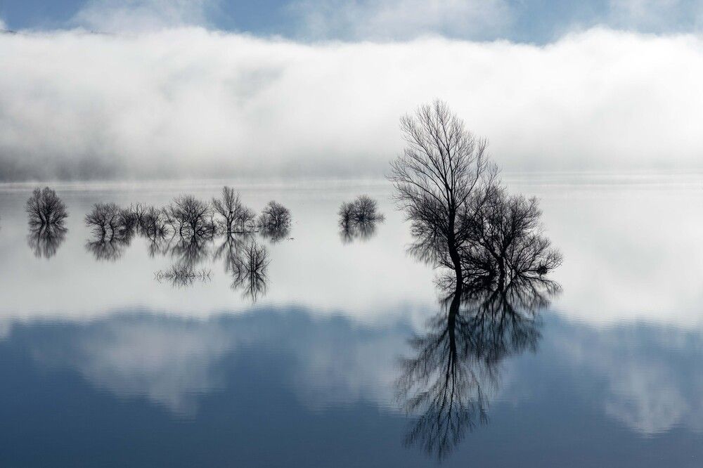 Photograph by Андрей Тараканов