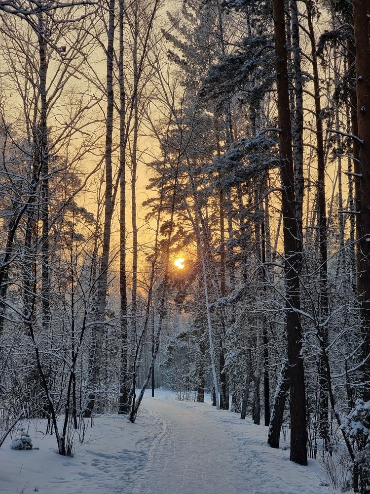 Photograph by Лилия Шарифуллина