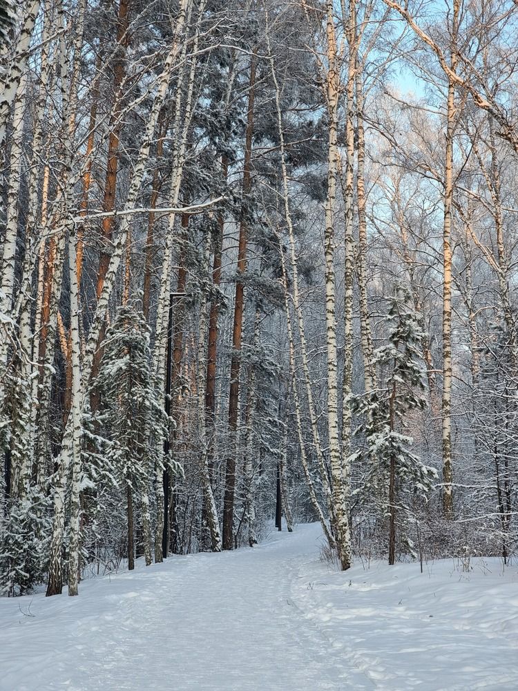 Photograph by Лилия Шарифуллина