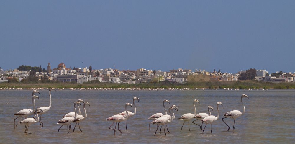 Photograph by Александр