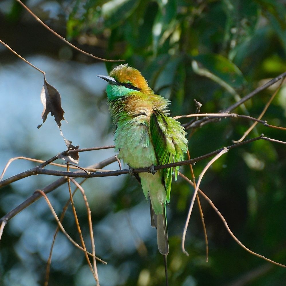 Photograph by Ilia Dmitriev