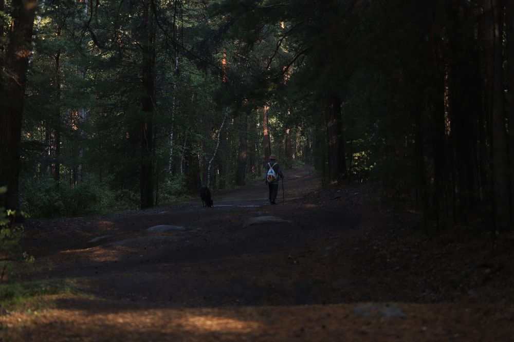 Photograph by Екатерина Журавлева