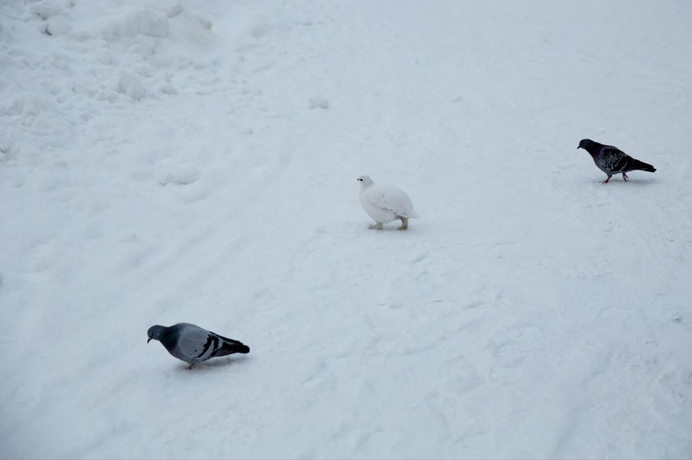 Photograph by Алексей Швецов