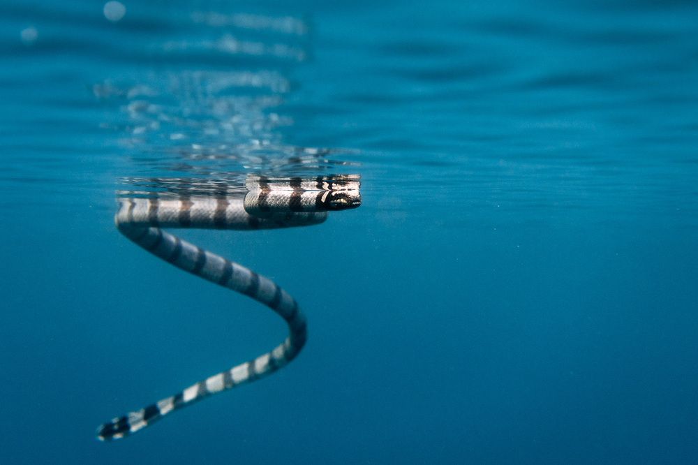 Photograph by Armando Oquendo