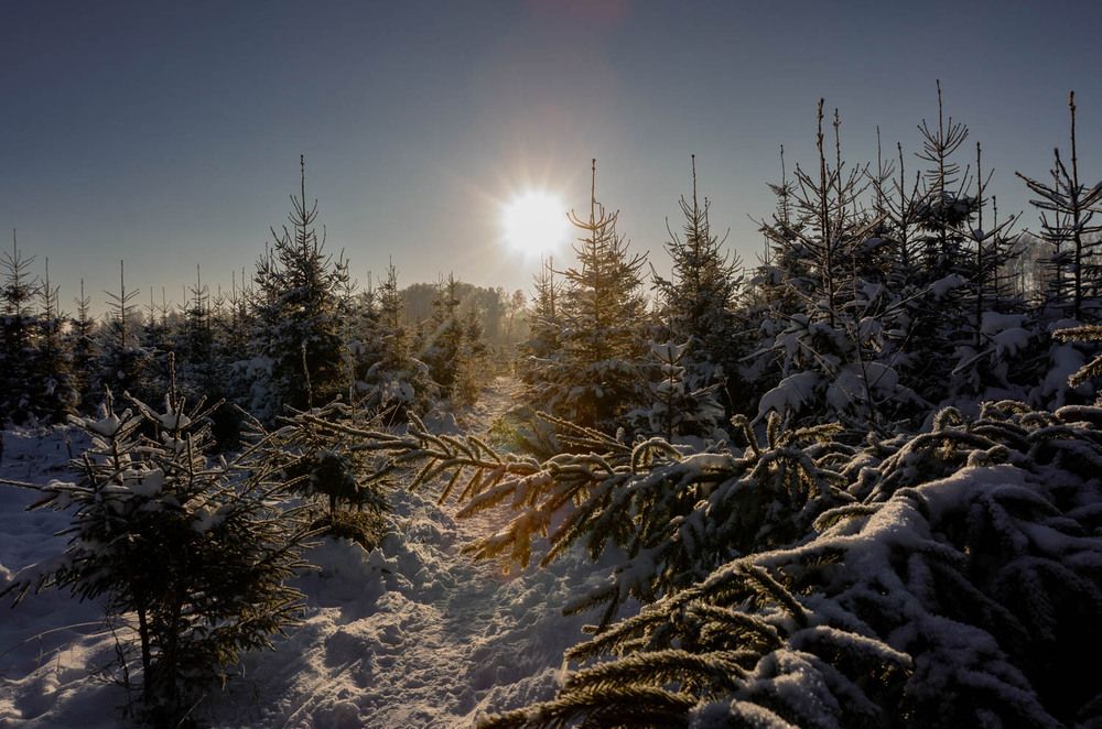 Photograph by Ineta Osipoviča