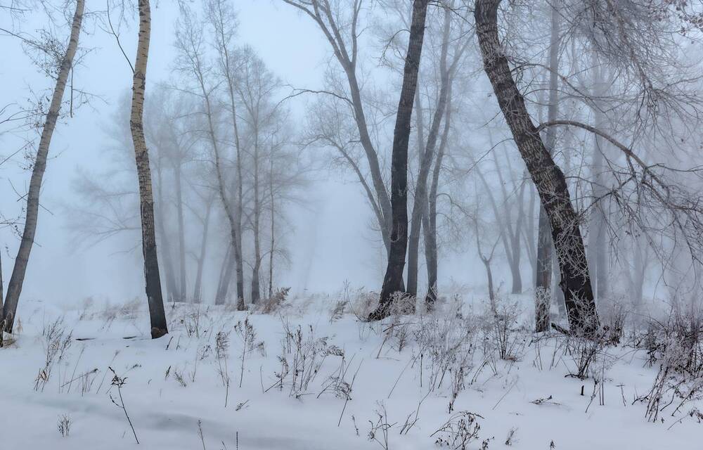 Photograph by Валерий Туманов