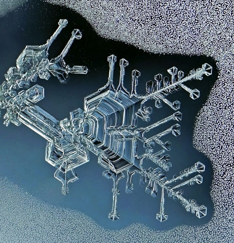 Photograph by Наталья Соколова