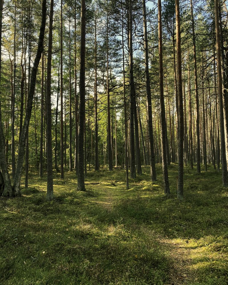 Photograph by Марат Болатханов