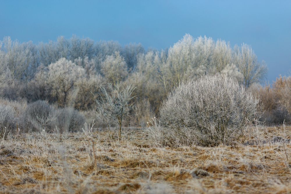 Photograph by Виталий Хромычев