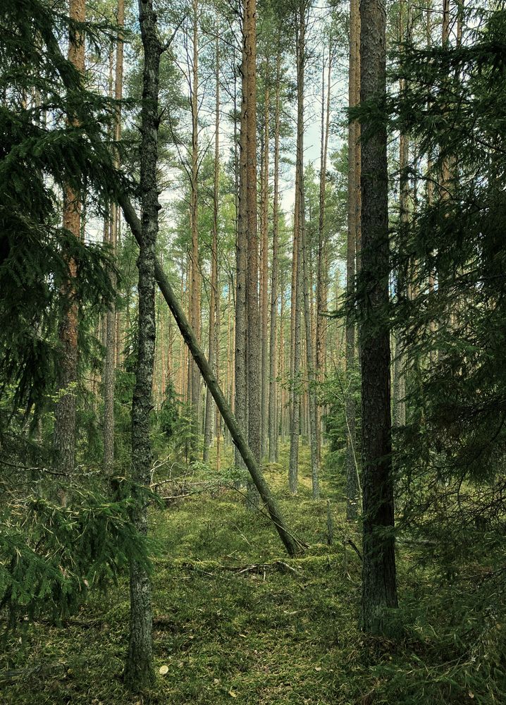 Photograph by Марат Болатханов