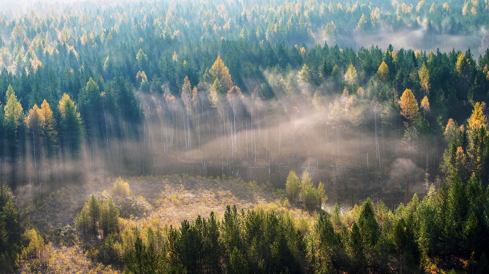 Photograph by Воинков Виктор