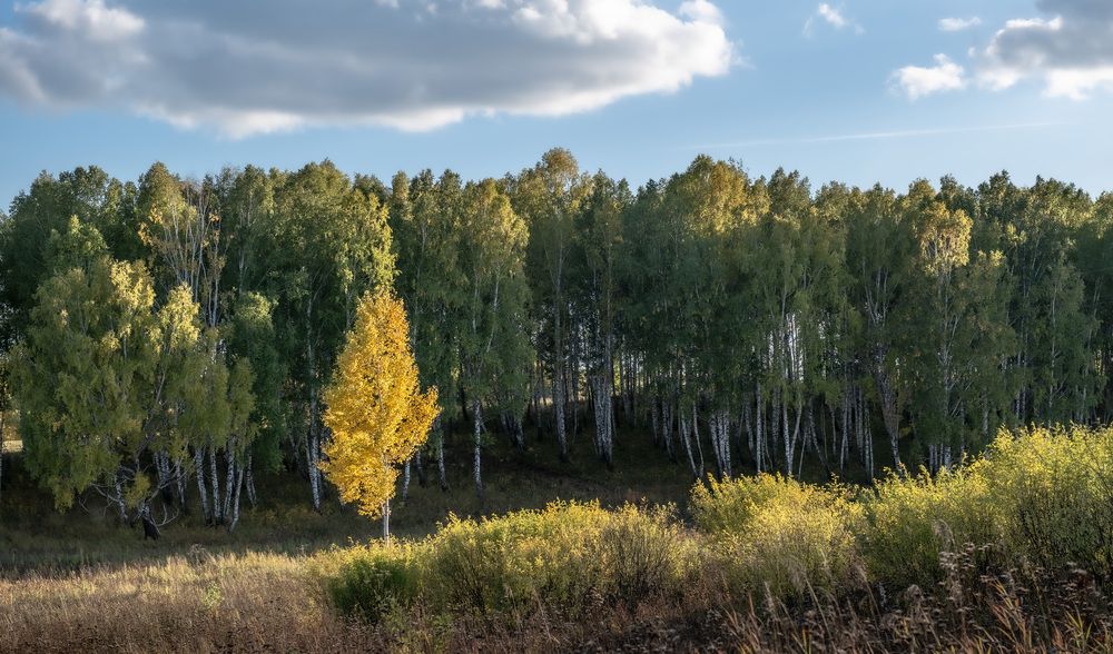 Photograph by Валерий Туманов