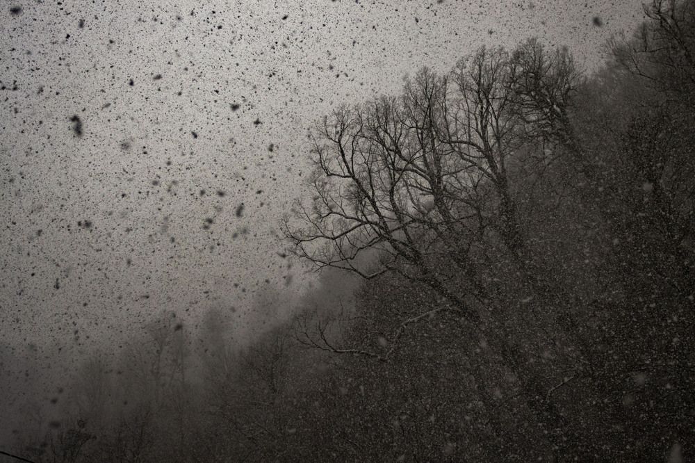 Photograph by Sergey Vatta