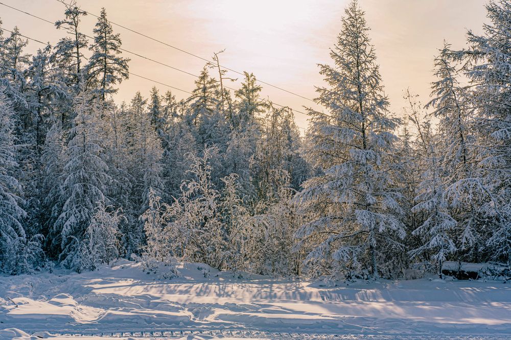 Photograph by Галина Искандарова