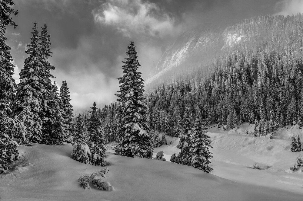 Photograph by Евгений Кармаев