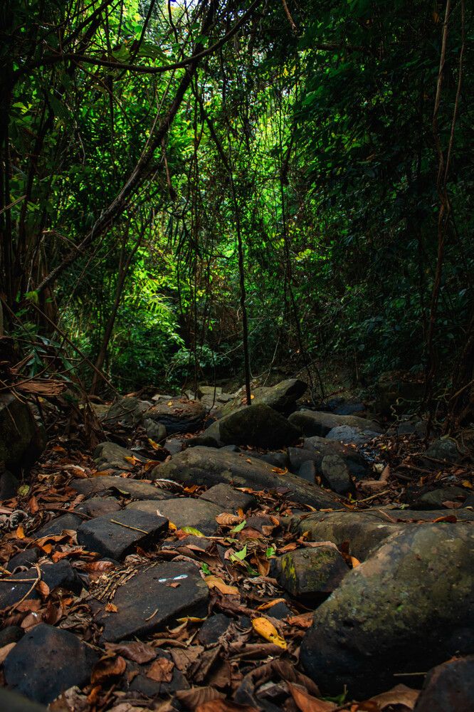 Photograph by Игорь Симонов