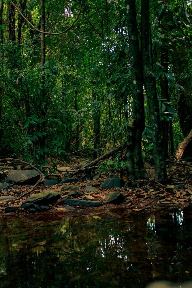 Photograph by Игорь Симонов