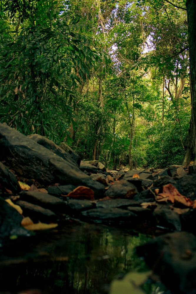 Photograph by Игорь Симонов