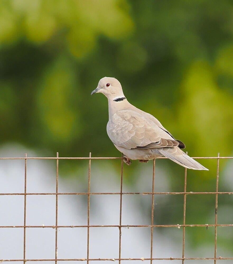 Photograph by Hardeep Solanki