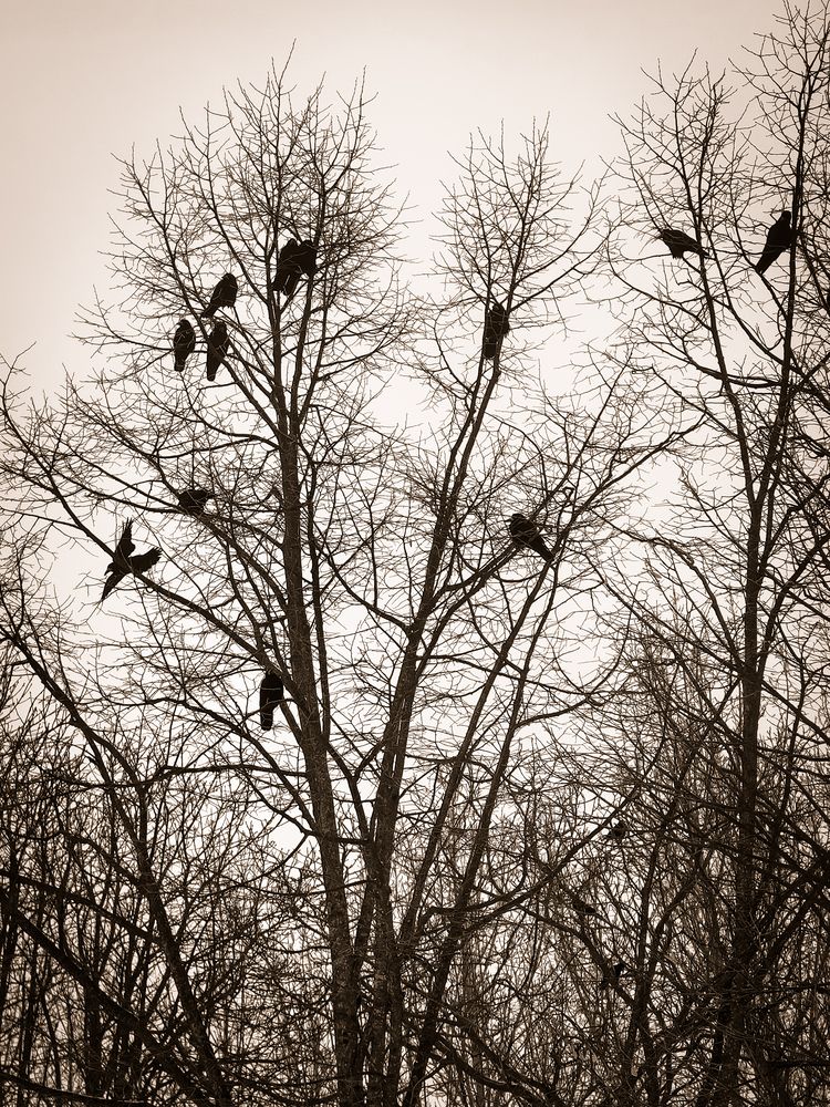 Photograph by Igor M.