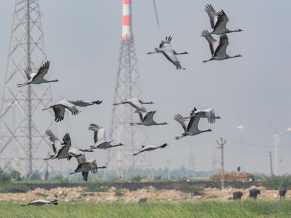 Photograph by Hardeep Solanki