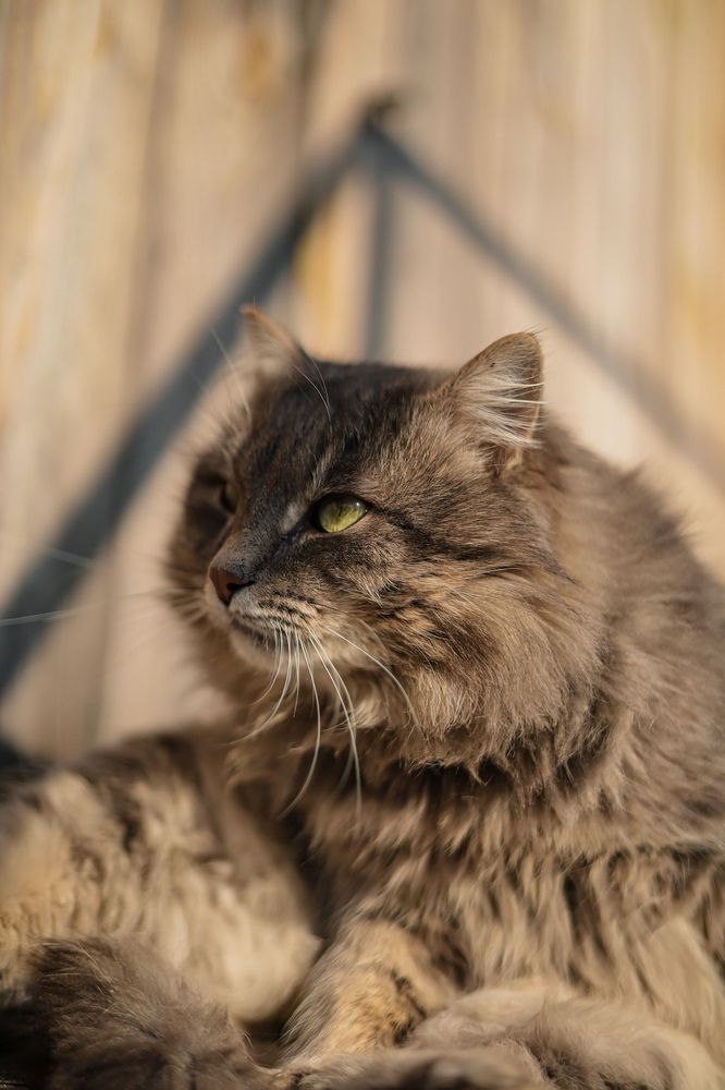 Photograph by Валентина Зуб