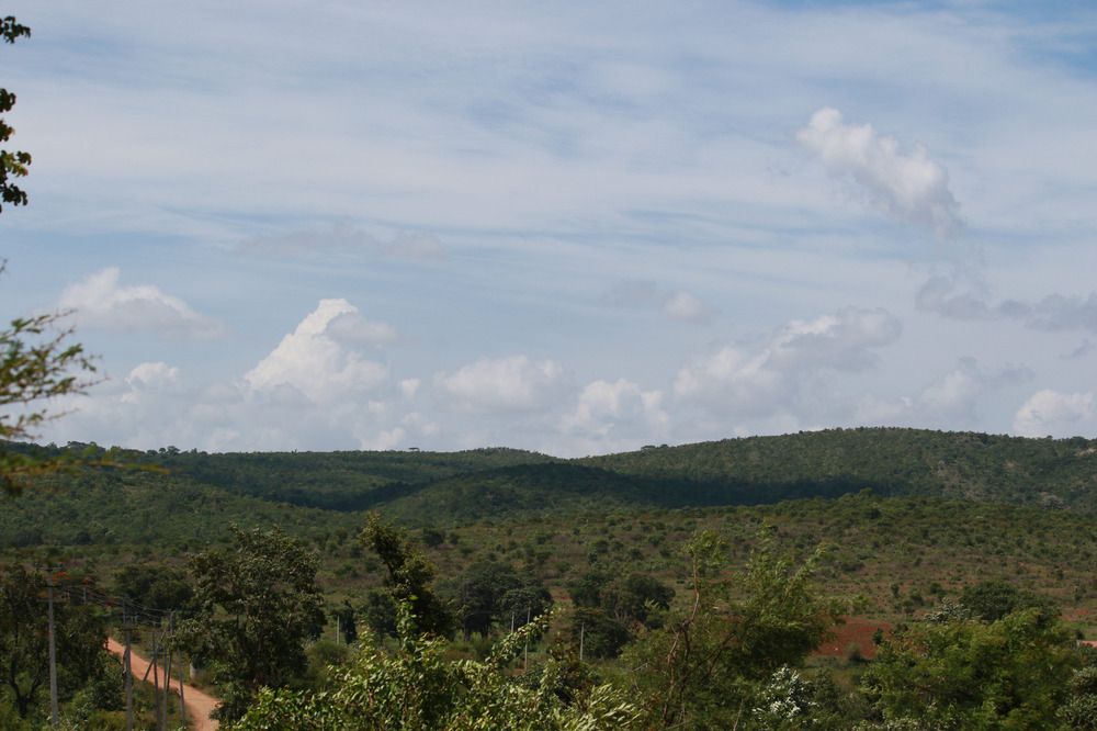 Photograph by Pradyumna K P