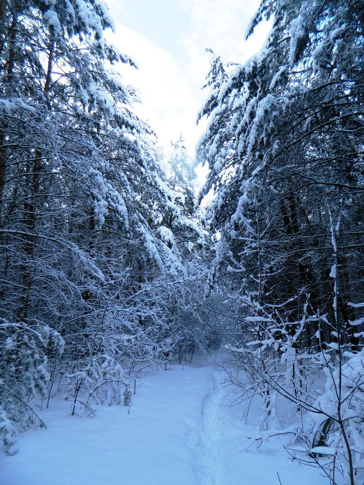 Photograph by Татьяна Гульпа