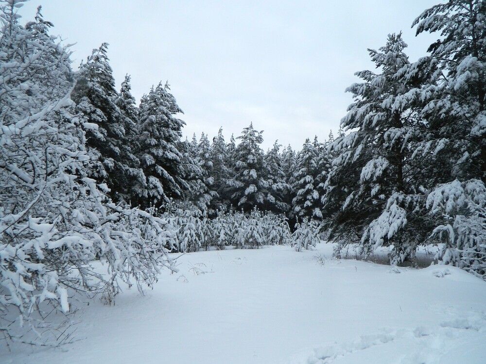 Photograph by Татьяна Гульпа