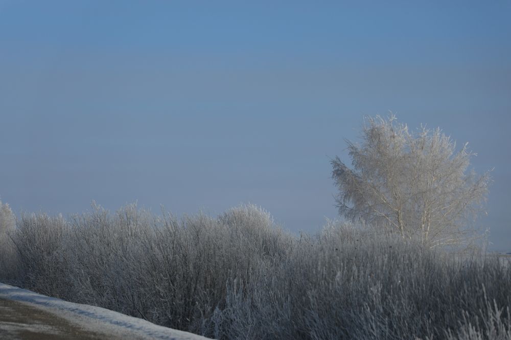 Photograph by Александра Почечуева