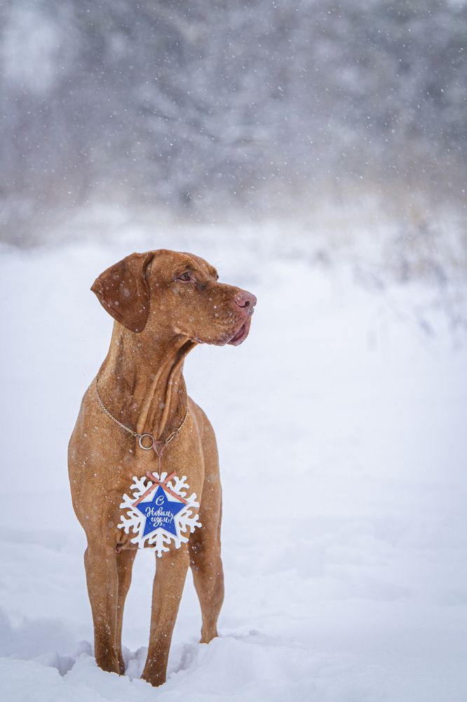 Photograph by Эльнара Исаева