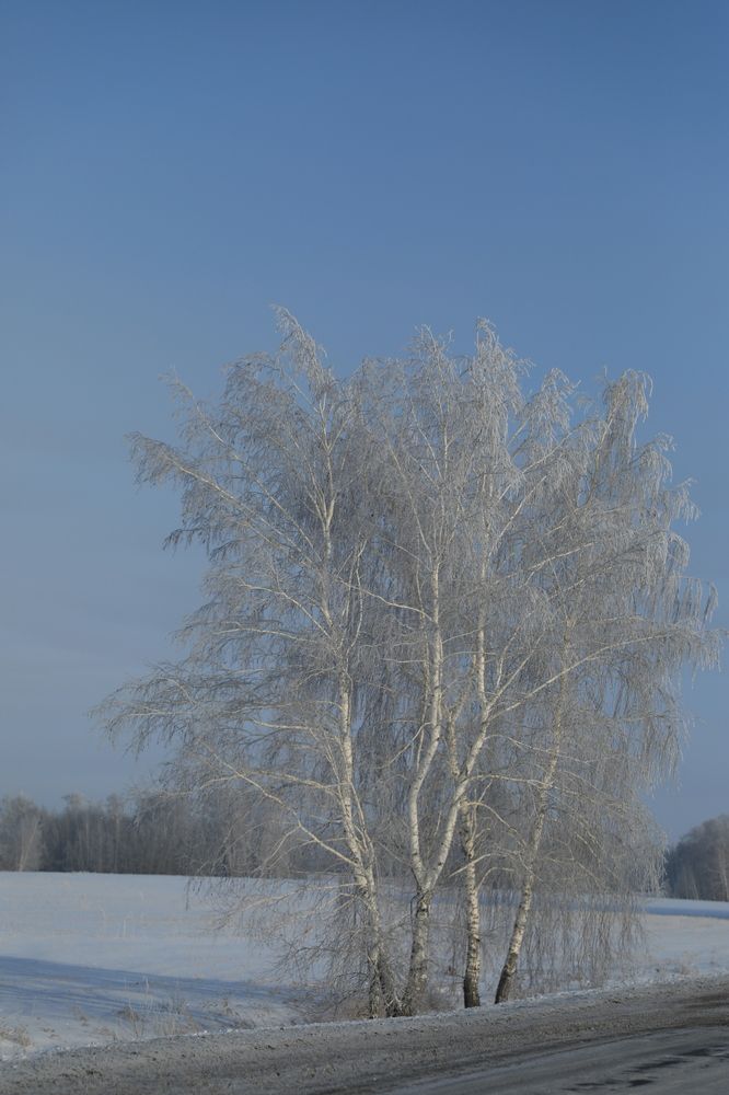 Photograph by Александра Почечуева
